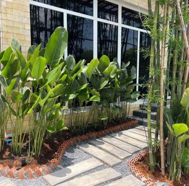 THI CÔNG CẢNH QUAN AN SPA 800M2